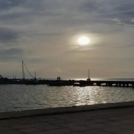Filavlis *